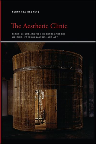 Cover for Fernanda Negrete · Aesthetic Clinic the Hb (Book) (2020)