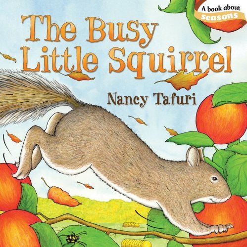 Cover for Nancy Tafuri · The Busy Little Squirrel - Classic Board Books (Board book) [Brdbk edition] (2019)