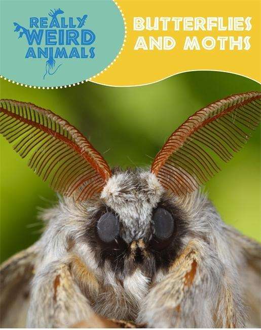 Really Weird Animals: Butterflies and Moths - Really Weird Animals - Clare Hibbert - Książki - Hachette Children's Group - 9781445138213 - 23 kwietnia 2015