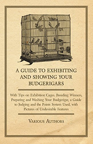 Cover for A Guide to Exhibiting and Showing Your Budgerigars - with Tips on Exhibition Cages. Breeding Winners, Preparing and Washing Your Budgerigar, a Guide ... Used, with Pictures of Undesirable Features (Pocketbok) (2011)