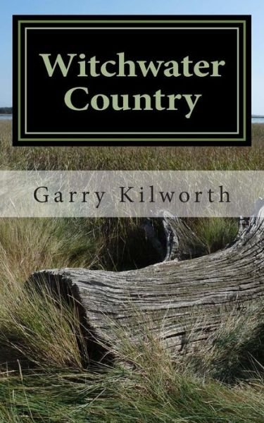 Cover for Mr Garry Kilworth · Witchwater Country (Paperback Bog) (1986)