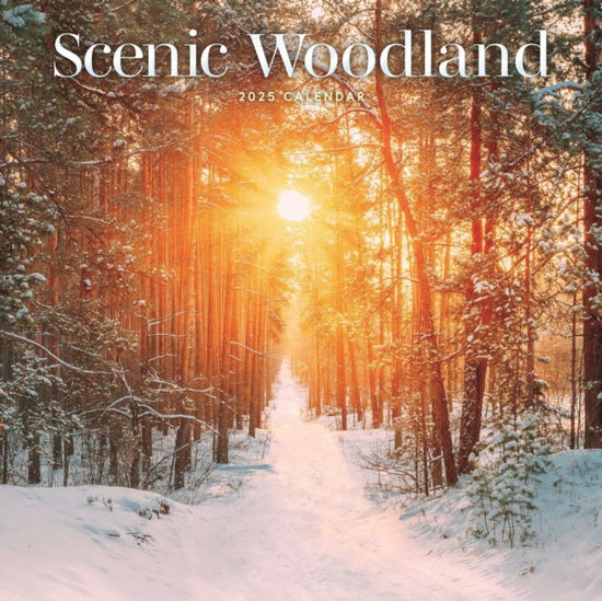 Cover for Carousel Calendars · Scenic Woodland Square Wall Calendar 2025 (Paperback Book) (2024)