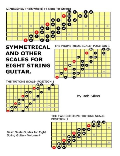 Cover for Rob Silver · Symmetrical and Other Scales for Eight String Guitar (Paperback Bog) (2017)