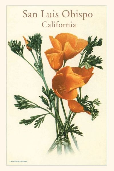 Cover for Found Image Press · The Vintage Journal San Luis Obispo, California Poppies (Paperback Book) (2022)