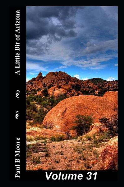 Cover for Paul Moore · A Little Bit of Arizona (Pocketbok) (2018)