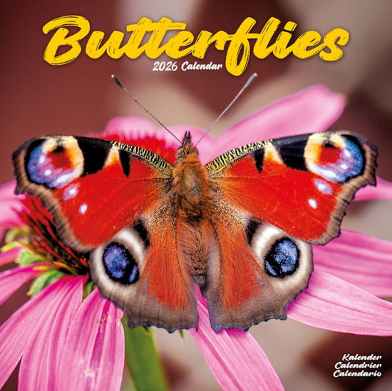 Cover for Butterflies Calendar 2026  Square Butterfly Wall Calendar - 16 Month (Calendar) (2025)