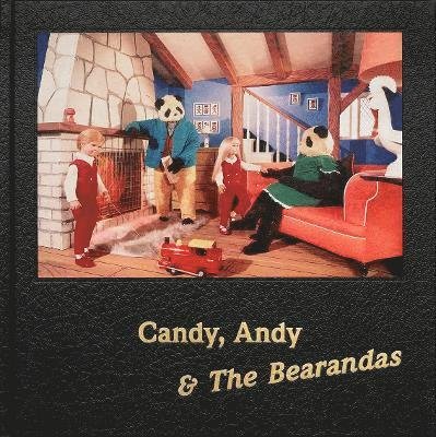 Cover for Alan Dein · Candy, Andy &amp; The Bearandas (Hardcover Book) (2023)