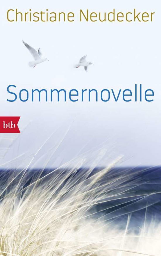 Christiane Neudecker · Btb.71521 Neudecker:sommernovelle (Book)