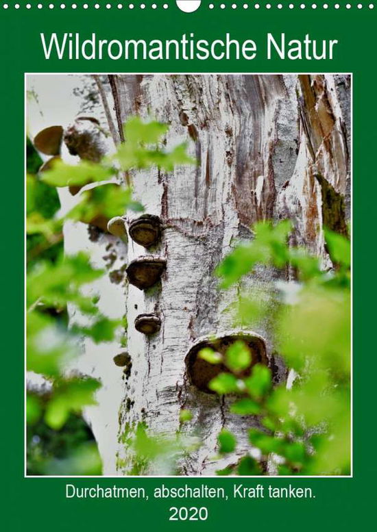 Cover for Gaudig · Wildromantische Natur (Wandkalen (Book)