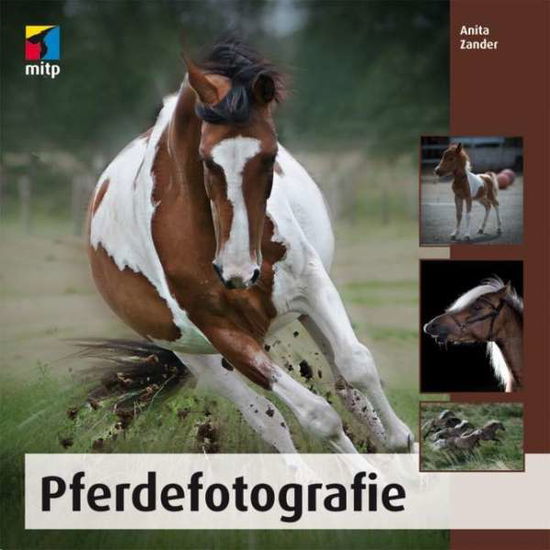 Cover for Zander · Pferdefotografie (Book)