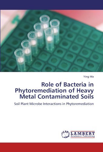 Cover for Ying Ma · Role of Bacteria in Phytoremediation of Heavy Metal Contaminated Soils: Soil Plant Microbe Interactions in Phytoremediation (Taschenbuch) (2012)