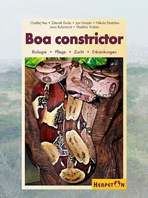 Boa constrictor - Ondrej Hes - Książki - Herpeton Verlag - 9783936180213 - 7 grudnia 2007