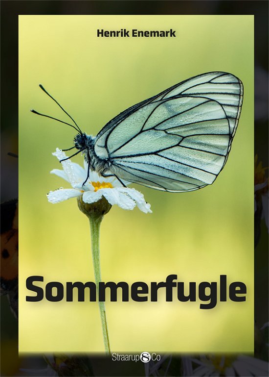 Maxi: Sommerfugle - Henrik Enemark - Böcker - Straarup & Co - 9788770187213 - 5 maj 2020
