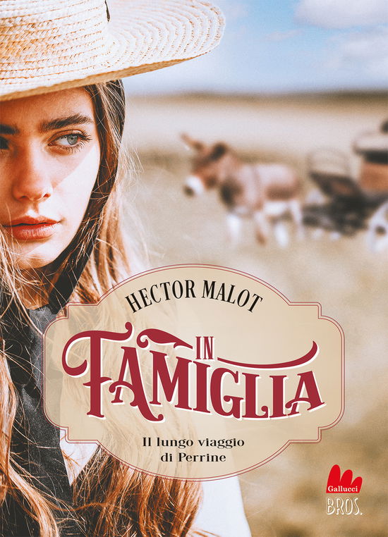 Cover for Hector Malot · In Famiglia. Il Lungo Viaggio Di Perrine (Book)