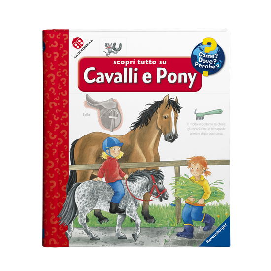 Cover for Andrea Erne · Scopri Tutto Su Cavalli E Pony! Ediz. A Colori (Book)