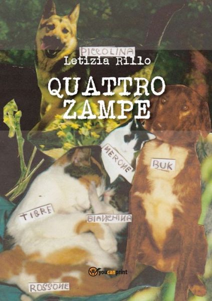 Cover for Letizia Rillo · Quattro zampe (Paperback Book) (2020)