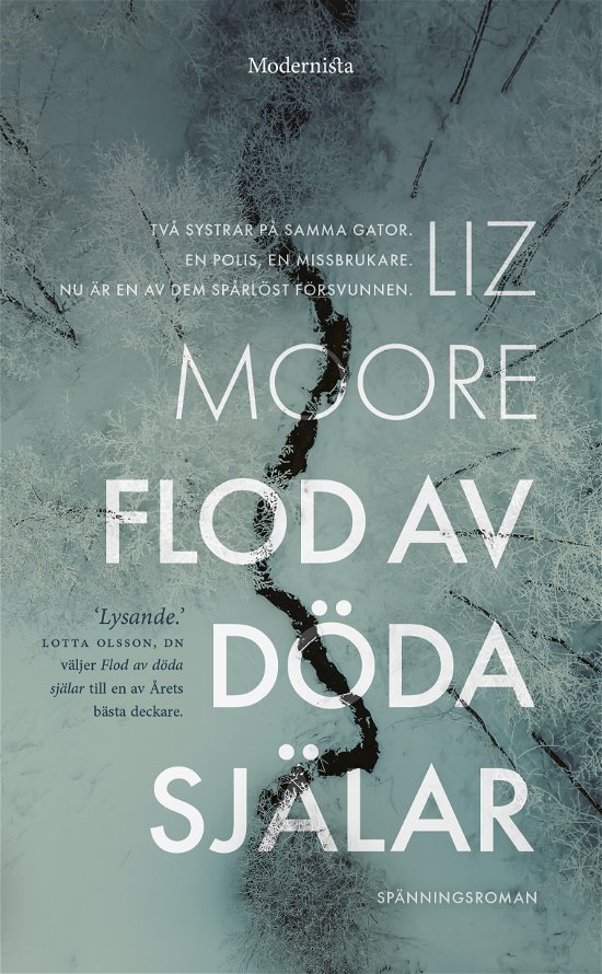 Cover for Liz Moore · Flod av döda själar (Paperback Book) (2023)