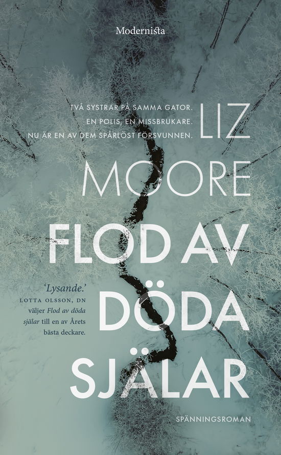 Flod av döda själar - Liz Moore - Livros - Modernista - 9789180637213 - 11 de setembro de 2023