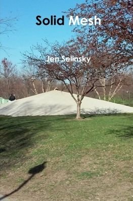 Cover for Jen Selinsky · Solid Mesh (Paperback Book) (2020)