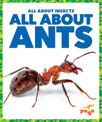 Cover for Kenney · All about Ants (Book) (2023)