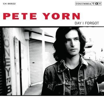 Cover for Pete Yorn · Day I Forgot (LP) (2019)
