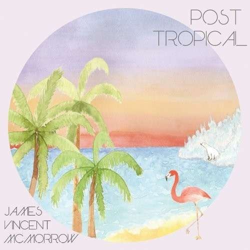 Cover for James Vincent Mcmorrow · Post Tropical (LP) (2014)