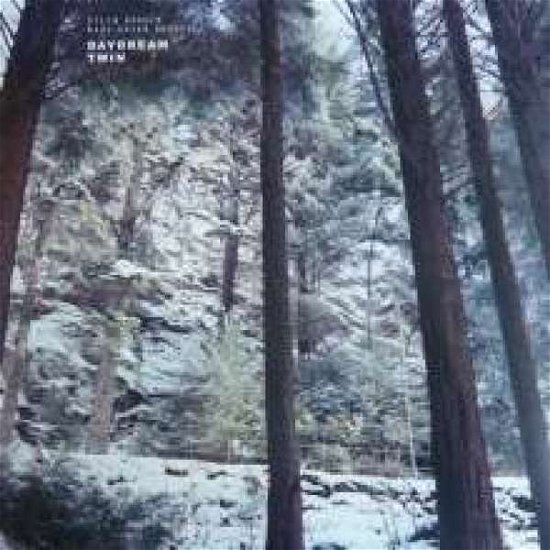 Cover for Urheim,stein / Brunvoll,mari Kvien · Daydream Twin (CD) (2013)