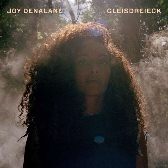Cover for Joy Denalane · Gleisdreieck (CD) (2017)