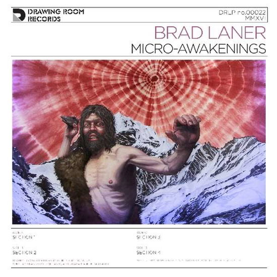 Cover for Brad Laner · Micro-Awakenings (LP) (2016)