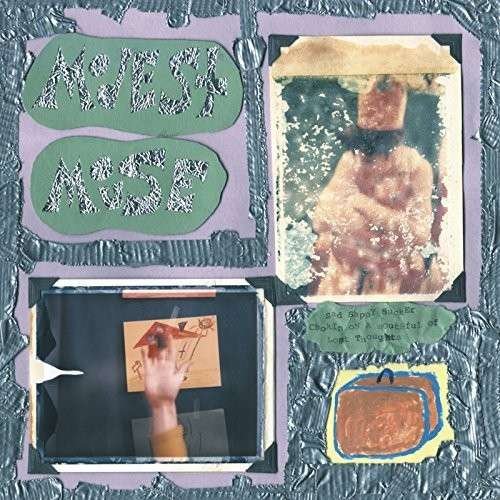 Cover for Modest Mouse · Sad Sappy Sucker (LP) (2014)