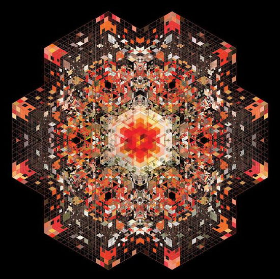 Gold Panda · Half of Where You Live (LP) (2013)