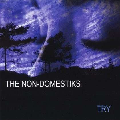 Cover for Non-domestiks · Try (CD) (2004)