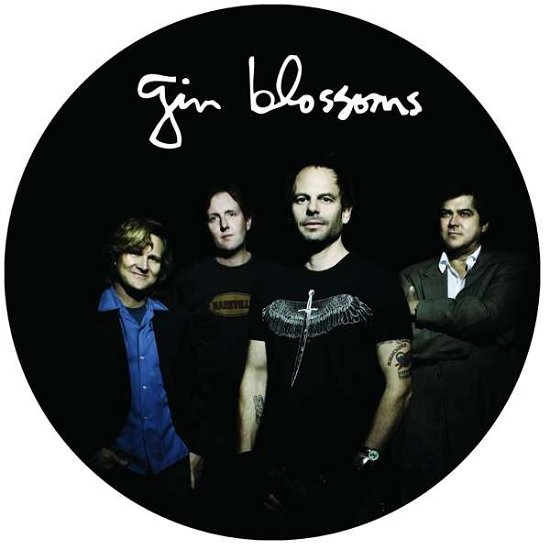 Cover for Gin Blossoms · Live In Concert - Picture Disc Vinyl (LP) [Limited edition] (2021)