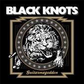 Cover for Black Knots · Guitarmageddon (LP) (2010)