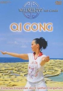 Cover for Wellness-dvd · Qi Gong (DVD) (2006)