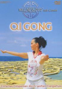 Qi Gong - Wellness-dvd - Películas - COOLMUSIC - GER - 4029378060214 - 20 de febrero de 2006
