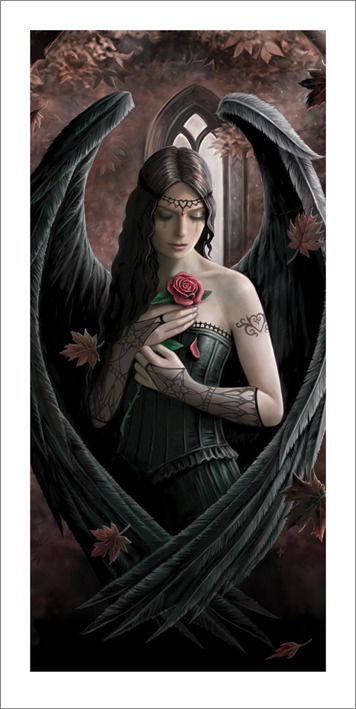 Cover for Anne Stokes · Anne Stokes - Angel Rose (Poster) (MERCH)