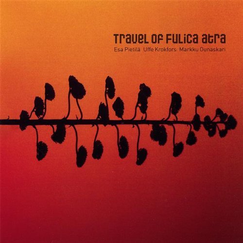 Cover for Esa Trio Pietila · Travel of Fulica Atra (CD) (2007)