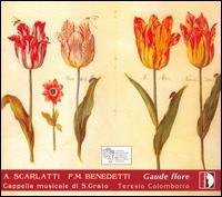 Cover for Scarlatti / Cappella Musicale San Grato / Colombot · Gaude Flore: Italian Music of the 17th &amp; 18th Cent (CD) (2006)