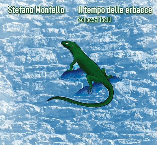 Cover for Stefano Montello · Il Tempo Delle Erbacce (CD) (2022)