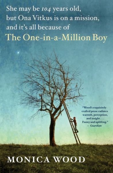 Cover for Wood Monica Wood · The One-in-a-Million Boy (Pocketbok) (2017)