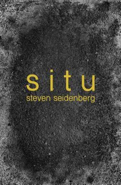 Cover for Steven Seidenberg · Situ (Paperback Book) (2018)