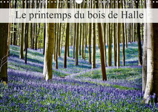 Cover for Patrick · Le printemps du bois de Halle ( (Bok)