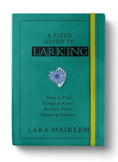 Cover for Lara Maiklem · A Field Guide to Larking (Paperback Book) (2021)