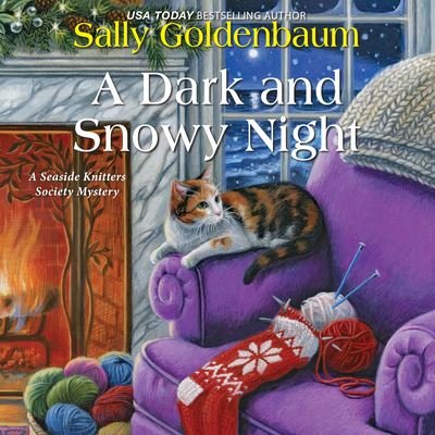 Cover for Sally Goldenbaum · A Dark and Snowy Night (CD) (2022)