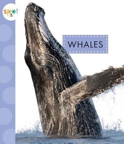 Cover for Mari C. Schuh · Whales (Book) (2019)