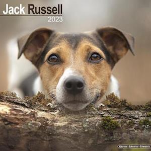 Cover for Kalender · Kalender - 2023 Jack Russell (Toys) (2022)