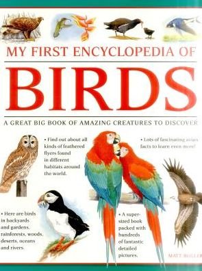 Cover for Bugler Matt · My First Encylopedia of Birds (giant Size) (Paperback Book) (2016)