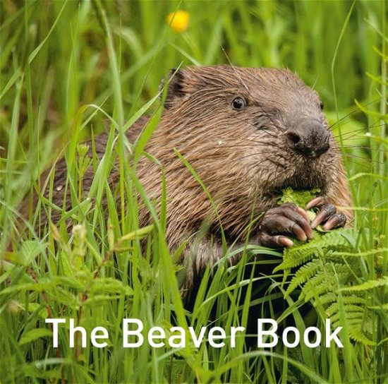 Cover for Hugh Warwick · The Beaver Book (Hardcover Book) (2021)