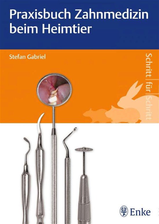 Cover for Gabriel · Praxisbuch Zahnmedizin beim Hei (Book)